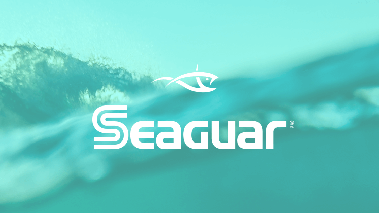 Rectangular white Seaguar logo against and crashing ocean wave.